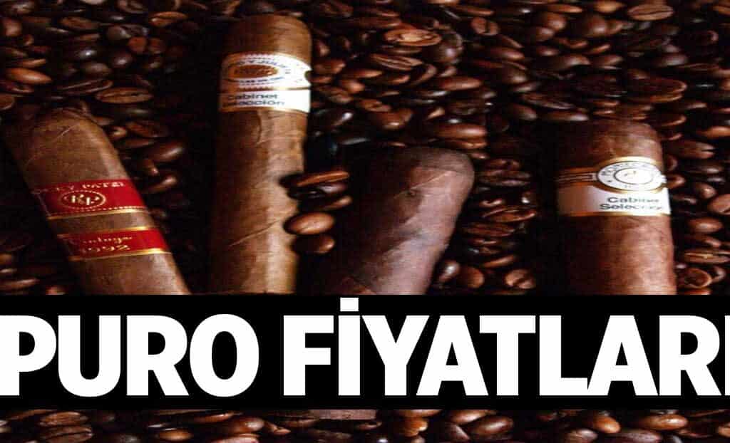 Puro Fiyatlari 1024x622wsP.jpg