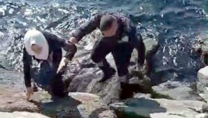 kayaliklarin arasina dustu guvenlik kurtardi SWpeyOtL.jpg