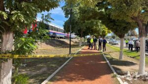 torununu kurtarmak isterken tren carpti irTDacau.jpg